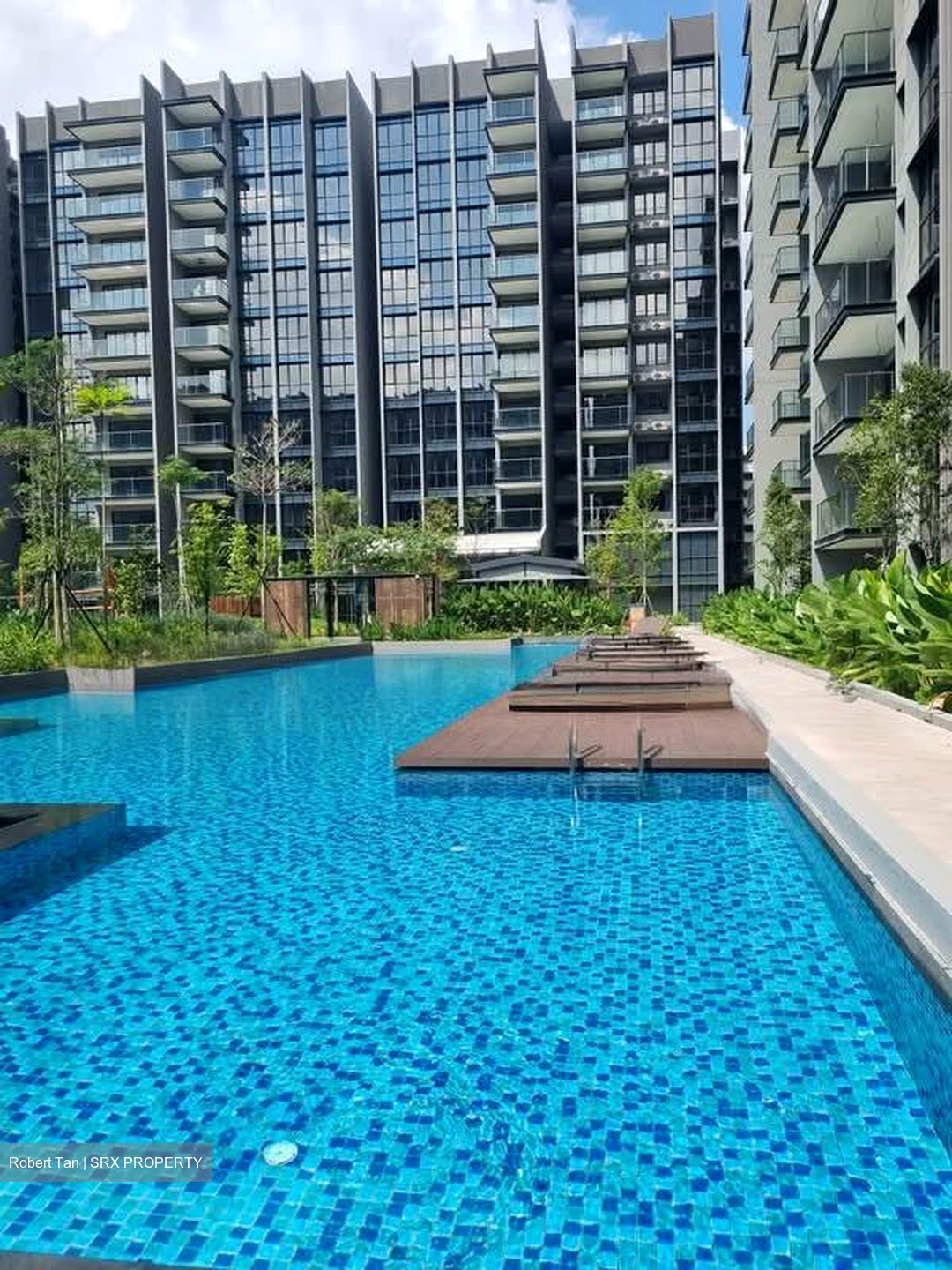 Bidadari Park Drive (D13), Apartment #579578951